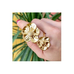 Anillo Acero Inoxidable 1249-102