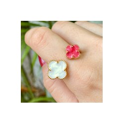 Anillo Chapa de Oro CH1224-75