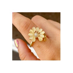 Anillo Chapa de Oro 8811-90