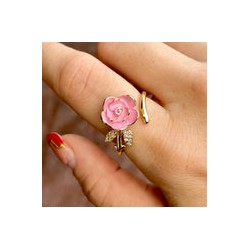 Anillo Chapa de Oro 4457-19