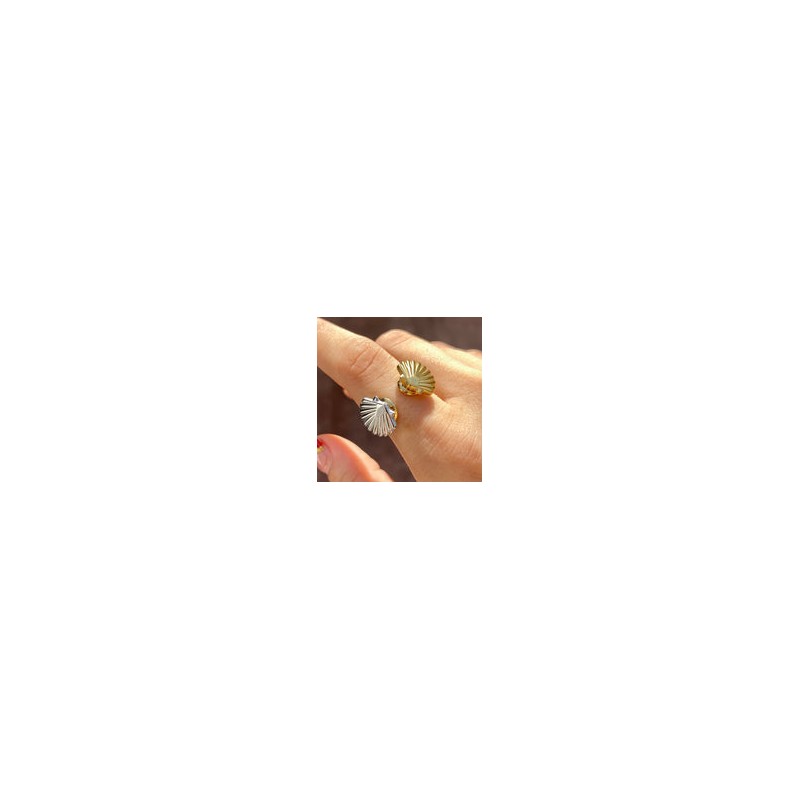 Anillo Acero Inoxidable 8014-12