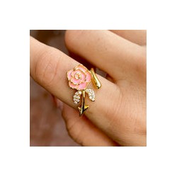 Anillo Chapa de Oro 4457-17