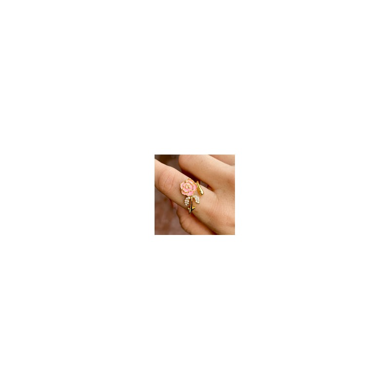 Anillo Chapa de Oro 4457-17