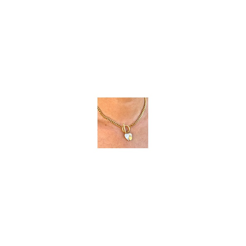Collar Acero Inoxidable 8811-42