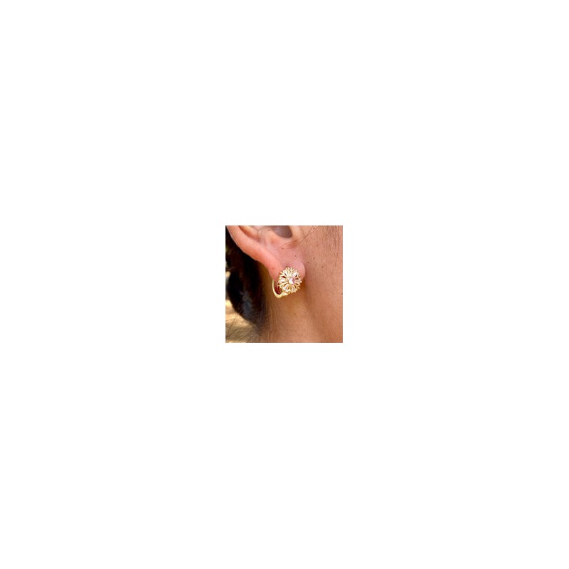 Aretes Chapa de Oro CH1224-2