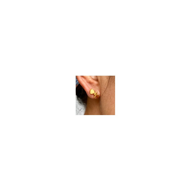 Aretes Acero Inoxidable 8811-174