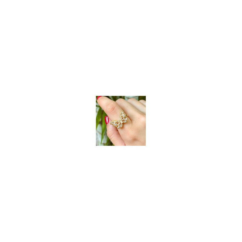 Anillo Chapa de Oro CH1224-68