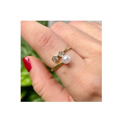 Anillo Chapa de Oro CH1224-76
