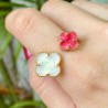 Anillo Chapa de Oro CH1224-75