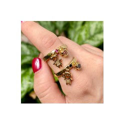 Anillo Chapa De Oro CH1224-79