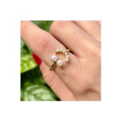 Anillo Chapa de Oro CH1224-78