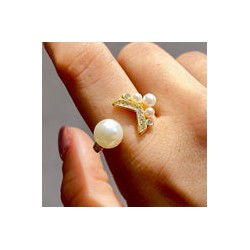 Anillo Chapa de Oro 4220-17