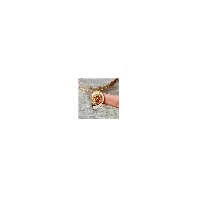 Collar Acero Inoxidable 8811-168