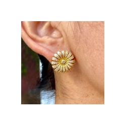 Aretes Chapa de Oro 0628-134