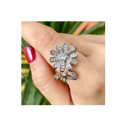Anillo Chapa de Oro 1249-4